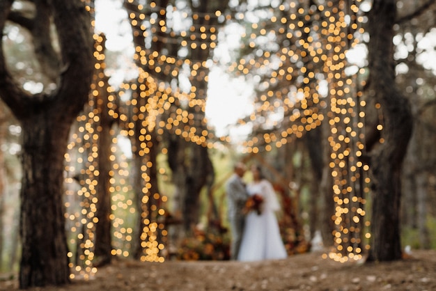 Foto jantar de casamento de um casal recém-casado na floresta de outono no fundo da cerimônia de casamento