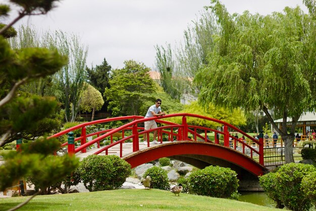 Japanische Brückenbrücke