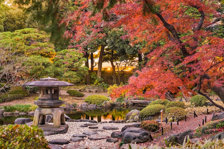 Foto japanische gärten yukimi-steinlantern mit blick auf rote ahorn-momiji-blätter im herbst
