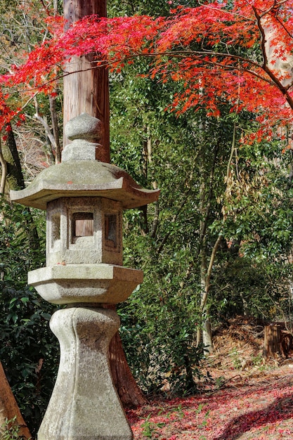 Japanische Tempellaterne-Steinskulptur mit roten Ahornblättern auf Herbstsaison.