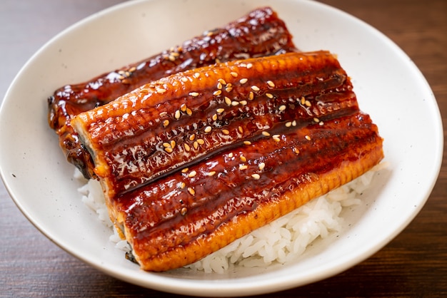 Japanischer Aal gegrillt mit Reisschüssel oder Unagi Don