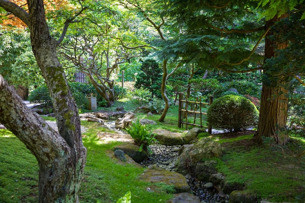 Japanischer Garten im Sommer