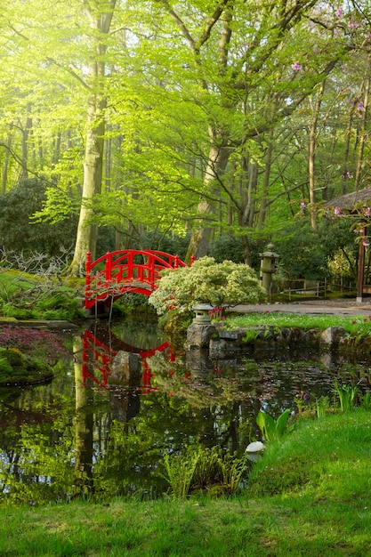 Japanischer Garten mit roter Brücke am sonnigen Tag, Den Haag, Holland