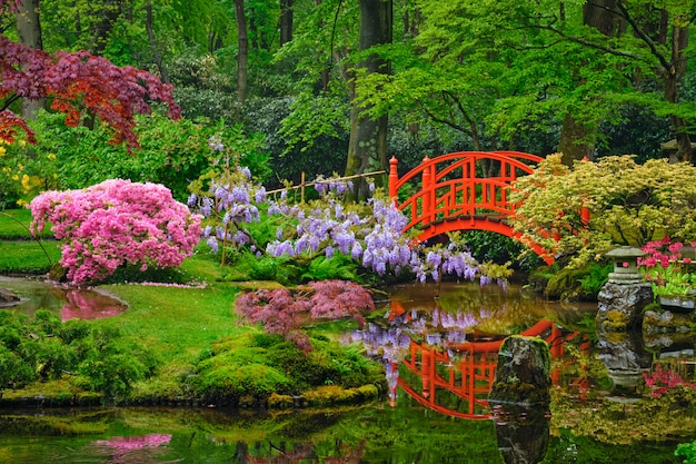 Japanischer Garten, Park Clingendael, Den Haag, Niederlande