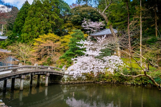 japanischer Garten