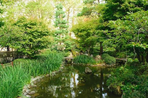 Japanischer Gartensee in Montevideo Uruguay