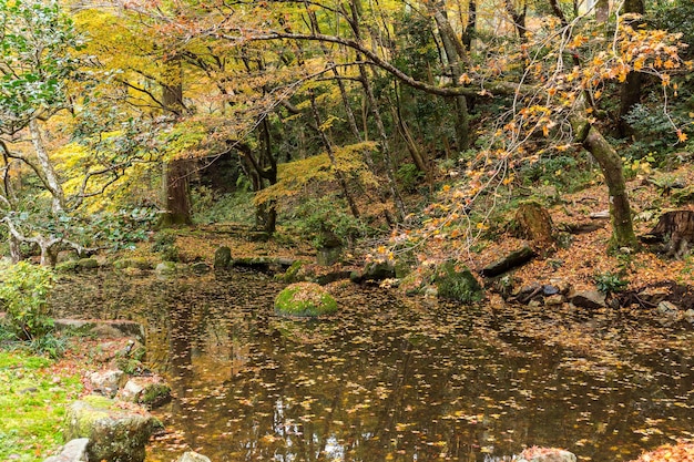 Japanischer Herbsttempel