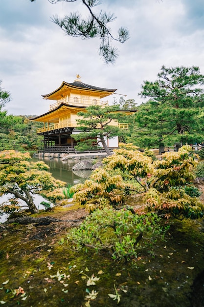 Foto japanischer kinkakuji-tempel, der im teich und um die bäume und gräser herum steht. berühmtes wahrzeichen des historischen tempels in kyoto. schöne aussicht in japan.