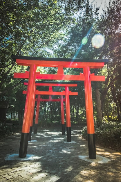 Japanisches Holztor (torii) im grünen Wald