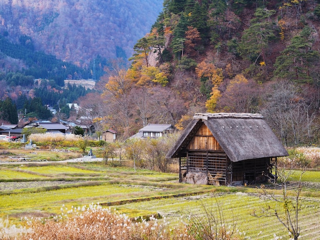 Japanisches Landhaus und Reisfeld