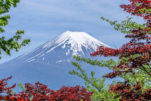 Foto japão tóquio