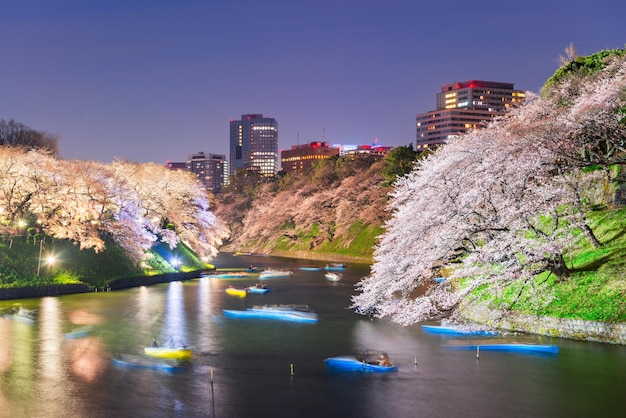 Foto japón en el foso del palacio imperial de chidorigafuchi