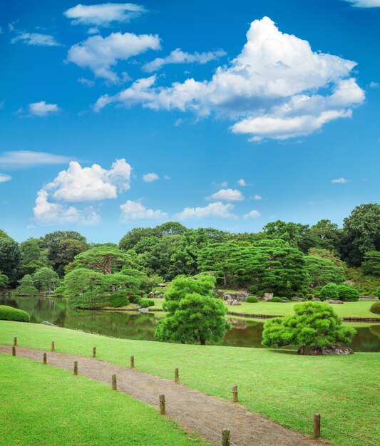 japón jardín