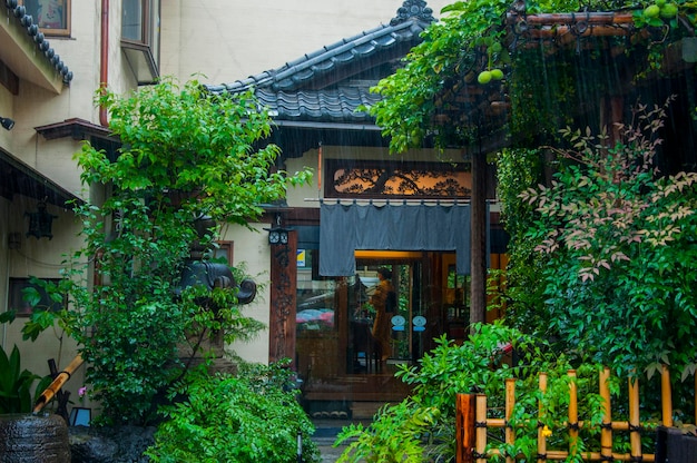 Japón Tokio Templo Sensoji Kaminarimon calle comercial callejón restaurante japonés