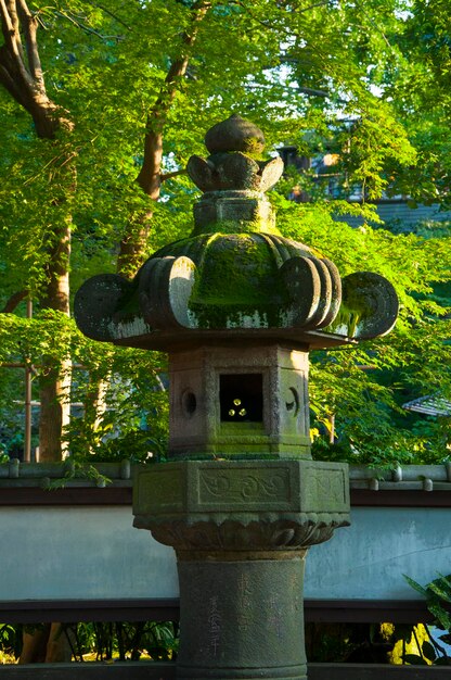 Foto japón tokio ueno toshogu budismo ofreciendo lámparas linternas de piedra