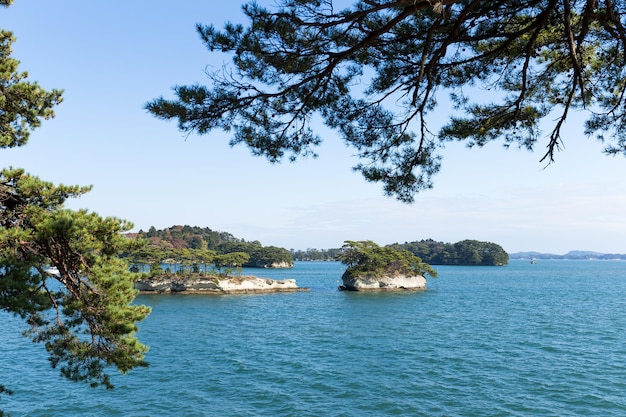 Japonês Matsushima