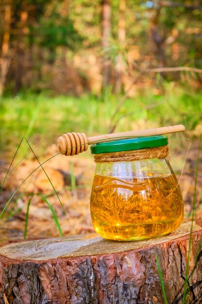 Jar mel e colher para mel na floresta no toco