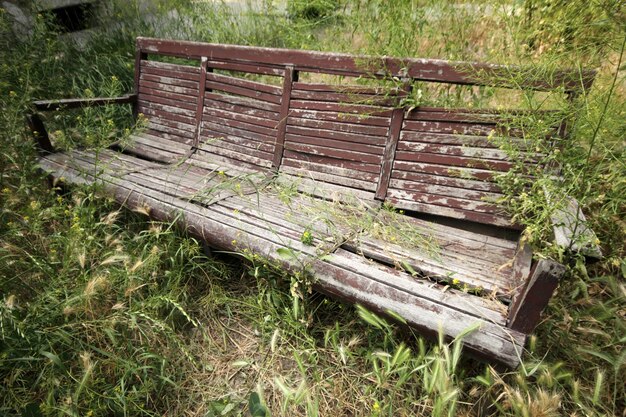 Jardim abandonado e banco velho