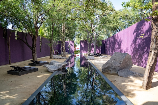 Jardim asiático pacífico roxo com estilo zen