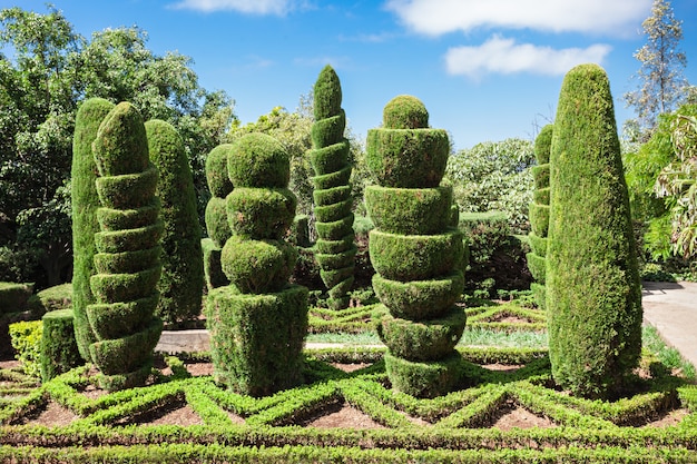 Jardim Botânico da Madeira