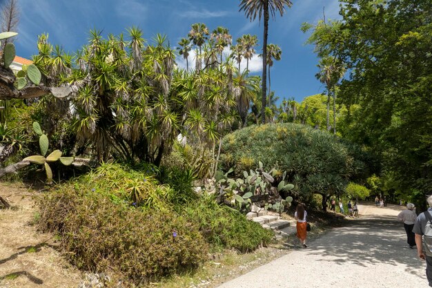 Jardim Botânico de Lisboa