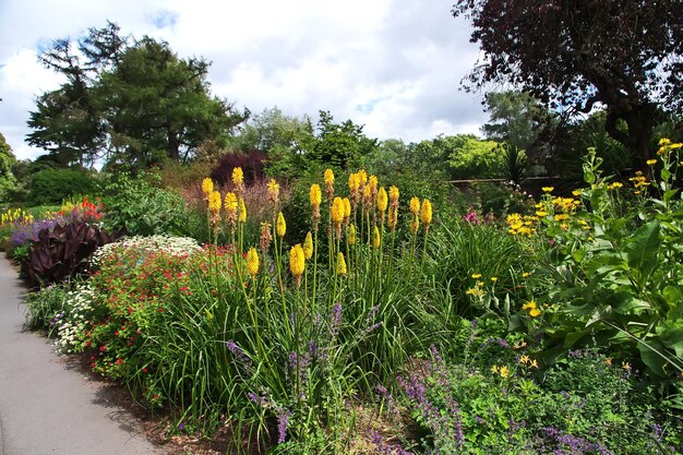 Jardim Botânico em Christchurch, Nova Zelândia