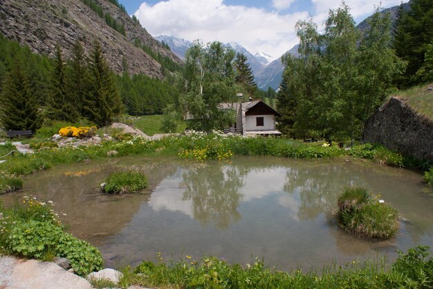 Jardim Botânicovalnonteycogneval de aostaitaly