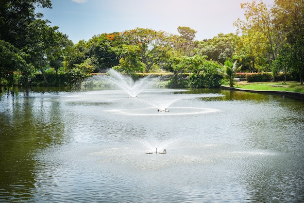 Jardim da fonte no parque verde da lagoa de água