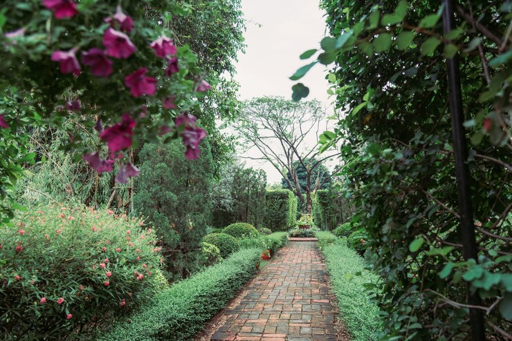 Jardim de estilo inglês no verão