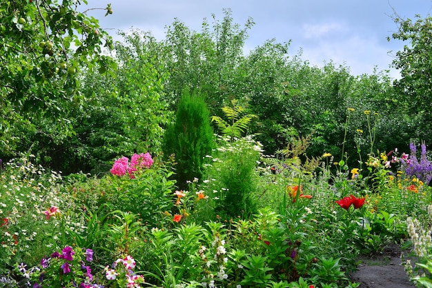 Jardim de flores e canteiros de flores com lírios, daylilies, phlox, camomila, thuja, petúnia e outros. Belo parque.