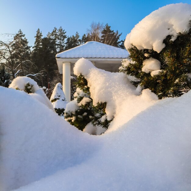 Jardim de inverno coberto por uma espessa camada de neve fofa branca em um dia ensolarado de inverno natural