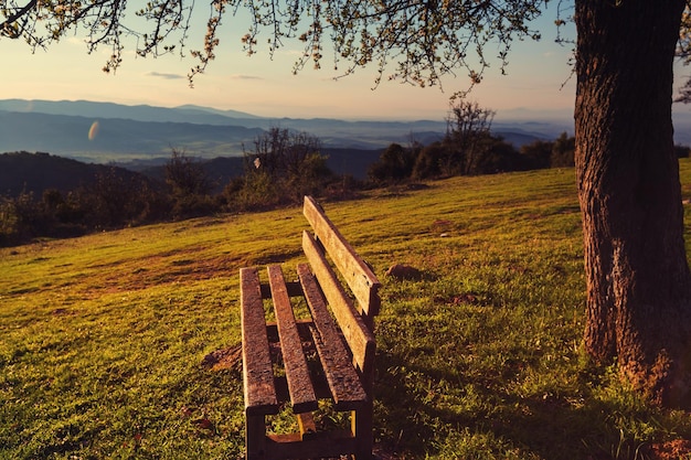 Jardim de primavera serenidade ao nascer do sol