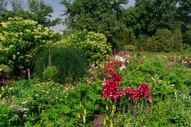 Jardim de verão com muitas plantas e flores verdes e exuberantes