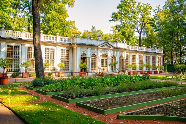 Foto jardim de verão em são petersburgo conjunto de parques um monumento de arte paisagística