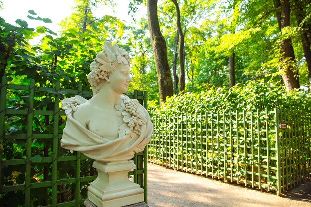 Foto jardim de verão em são petersburgo conjunto de parques um monumento de arte paisagística