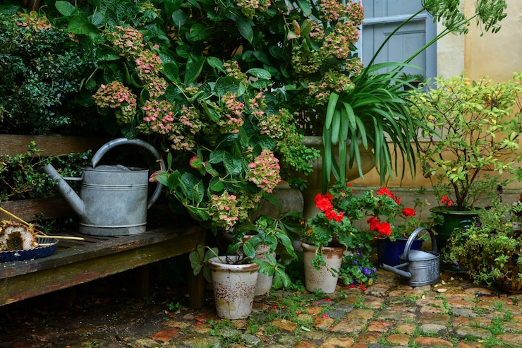 Foto jardim decorado com flores de outono, plantas nos vasos