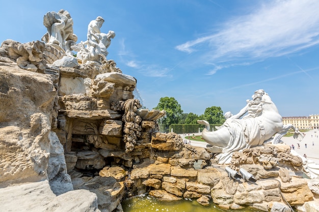 Foto jardim do palácio de schonbrunn