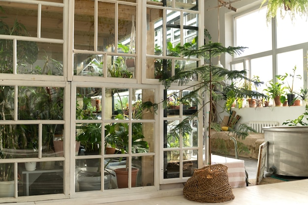 Jardim doméstico ou interior de estufa com plantas, móveis de madeira antigos e janelas retrô