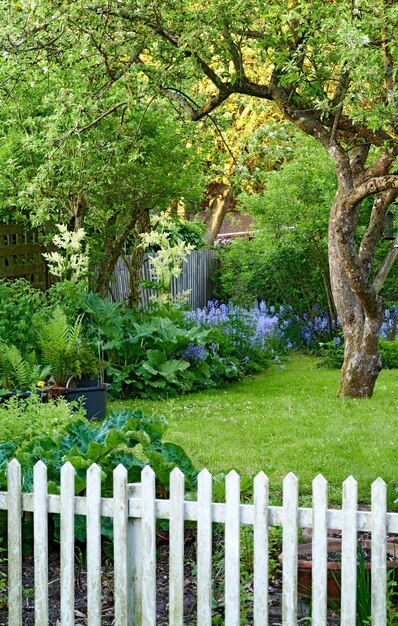 Jardim em casa colorido com várias plantas árvores e flores crescendo em um dia ensolarado de primavera ao ar livre bluebells espanhóis roxos brilhantes florescendo entre vegetação e folhagem exuberante em um quintal