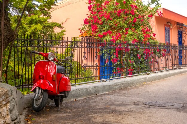 Jardim florescendo de verão em tempo ensolarado. Scooter vermelha em estilo retro está estacionada em frente ao muro