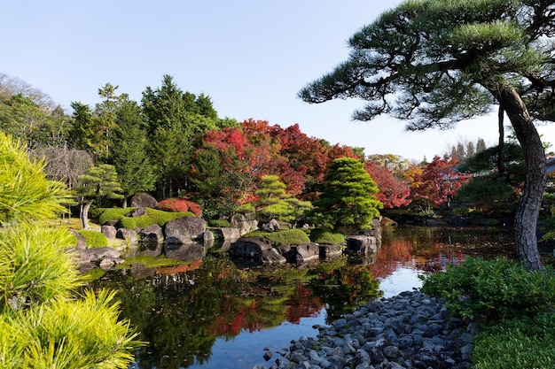 Jardim japonês com outono