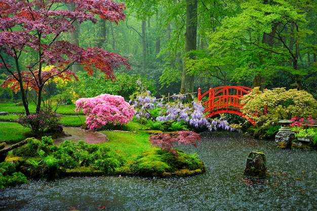 Jardim japonês, parque, clingendael, a Haia, holanda