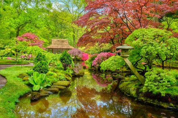 Jardim japonês, parque, clingendael, a Haia, holanda