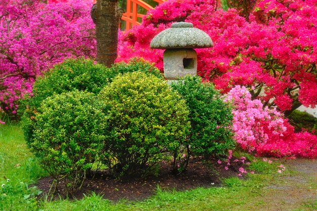 Jardim japonês parque clingendael haia holanda