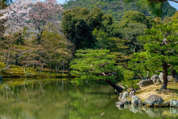 Jardim japonês