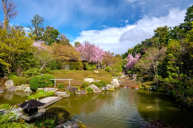 Jardim japonês