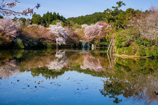 Jardim japonês