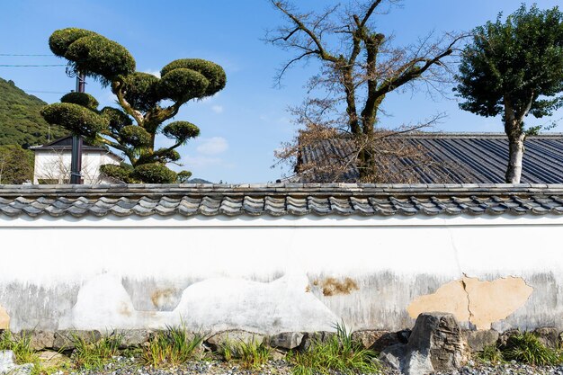 Foto jardim japonês