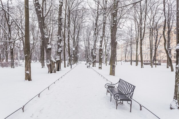 Jardim Mikhailovsky e seu caminho nevado com bancos no inverno.