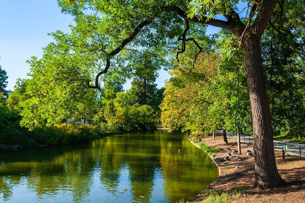 Jardim público Jardin em Bordéus